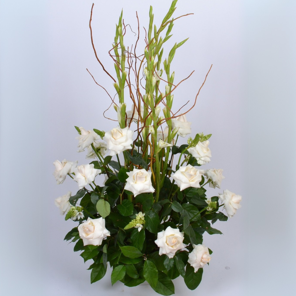 Sympathy Arrangements